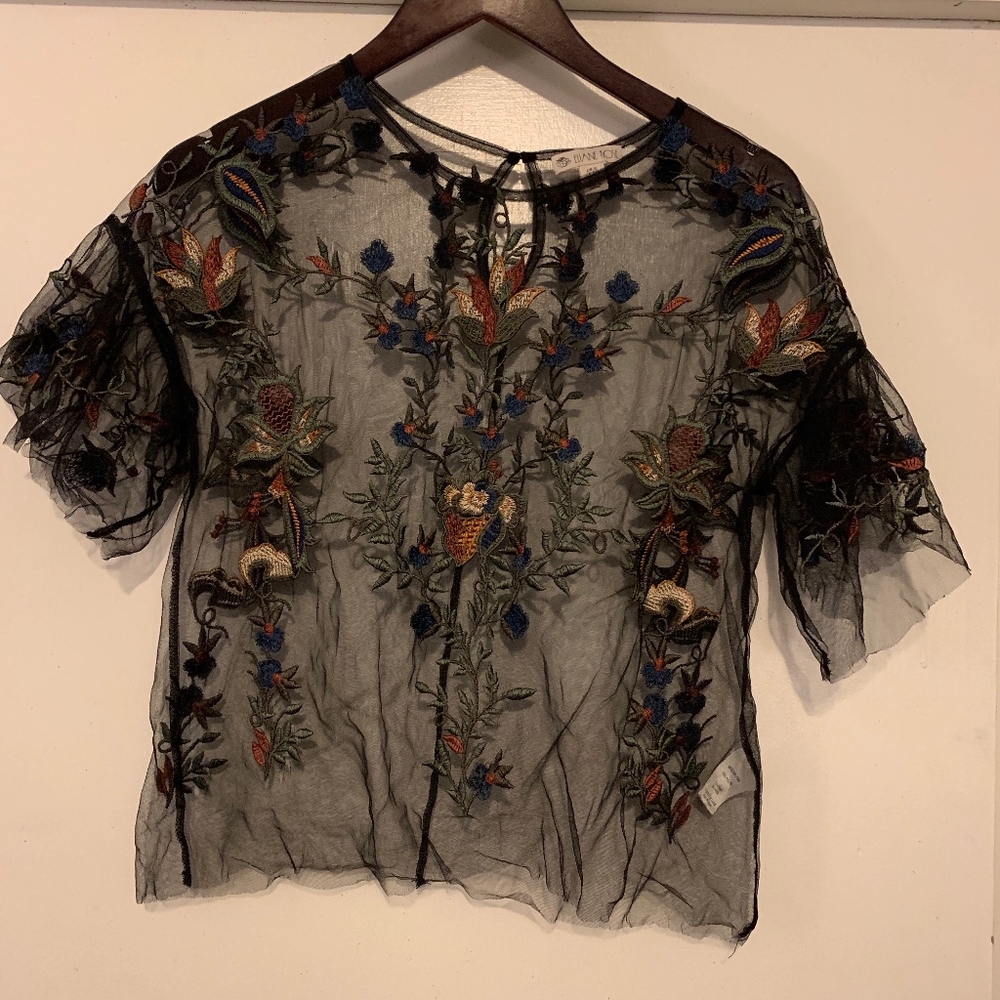 Mesh, embroidered blouse